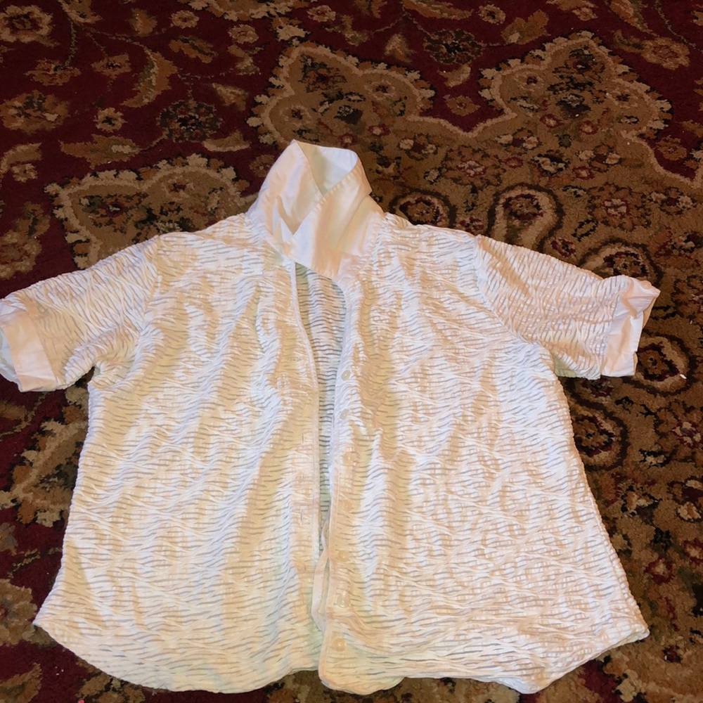 White button down dressy shirt